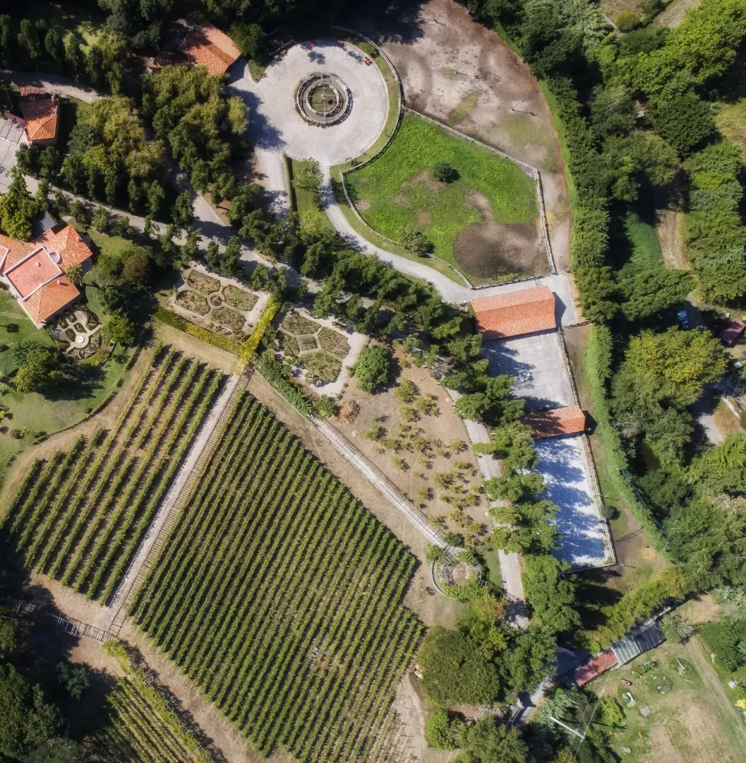 Infinitude - Winalist