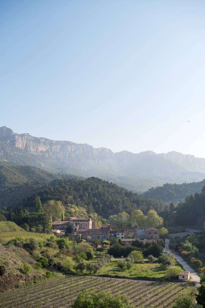 La Conreria - Winalist