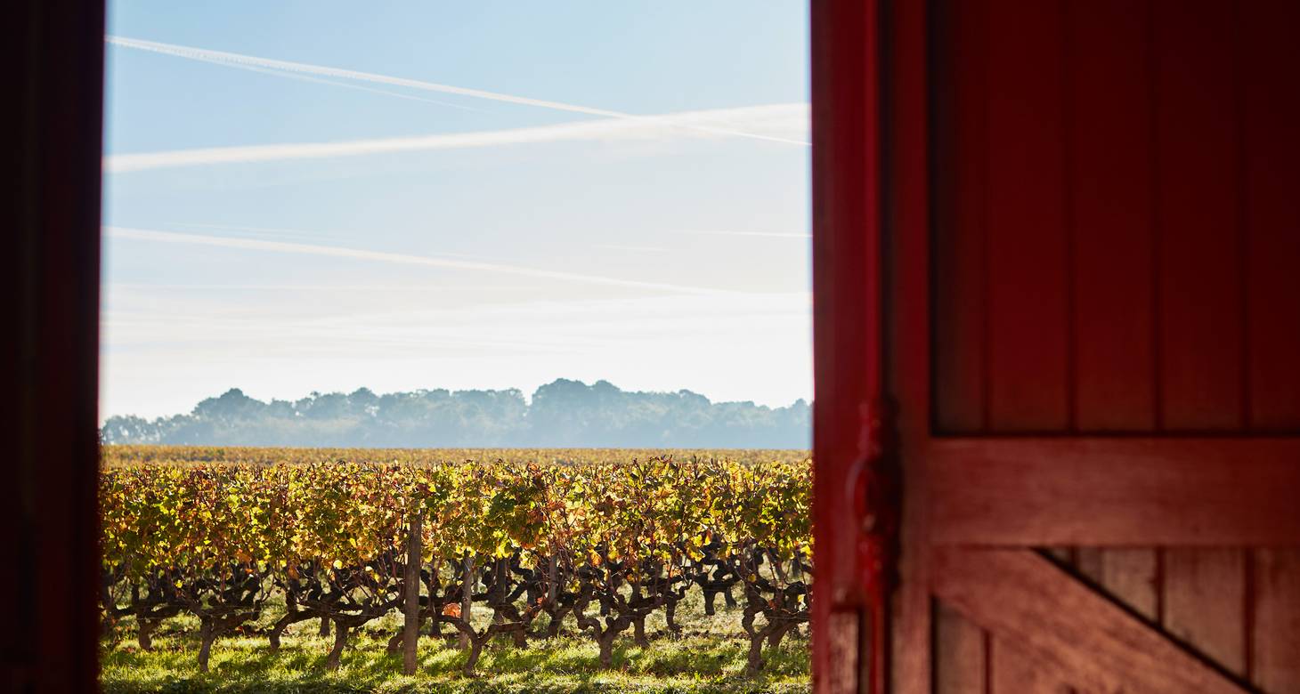 Les Routes des vins de Bordeaux : Domaines, itinéraires et cartes - 2026 - 35 - route des vins de Bordeaux route des vins de Bordeaux - Les Routes des vins de Bordeaux : Domaines, itinéraires et cartes - 2026 - 34