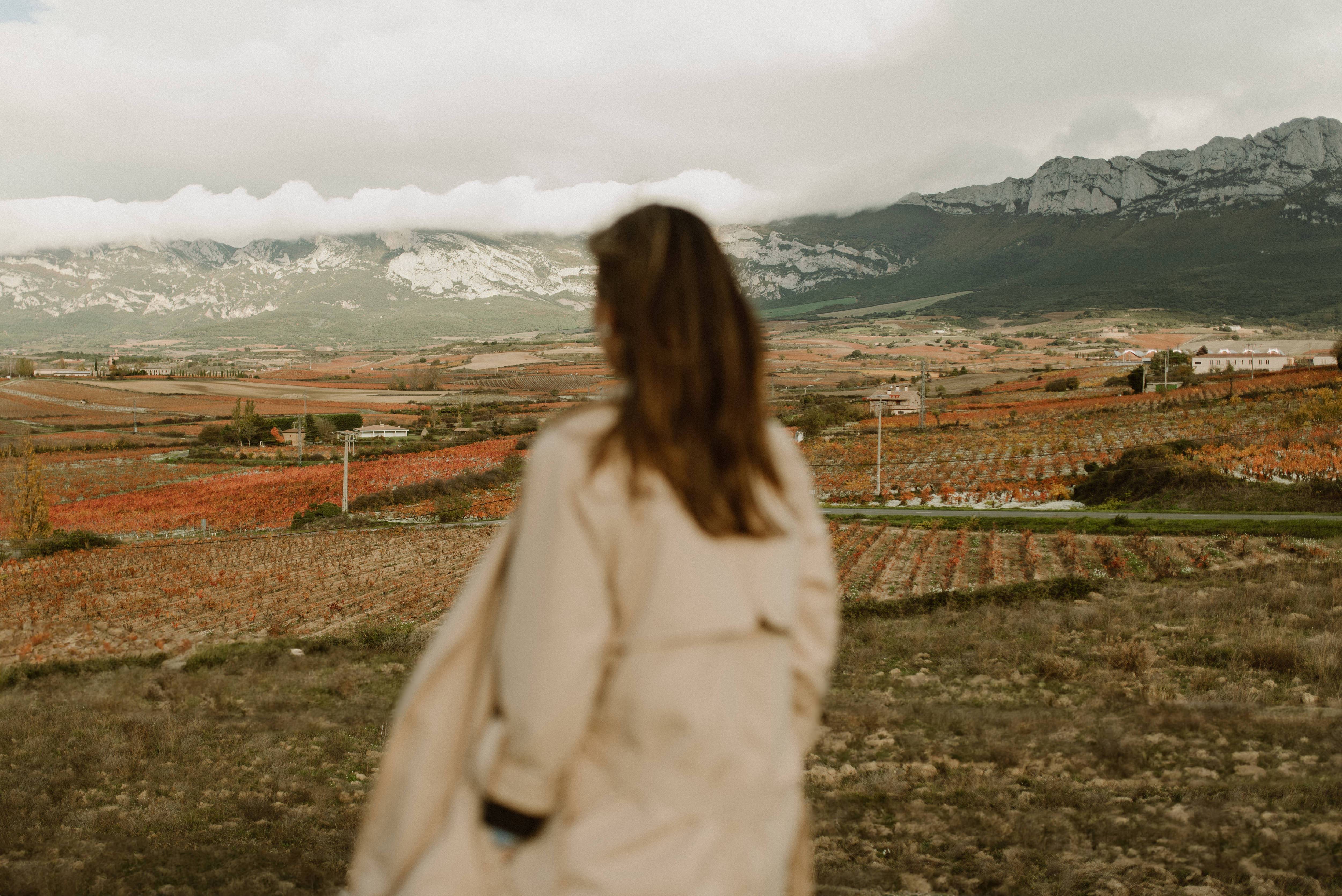 Winery visit and tasting - Bodegas Luis Alegre - Winalist