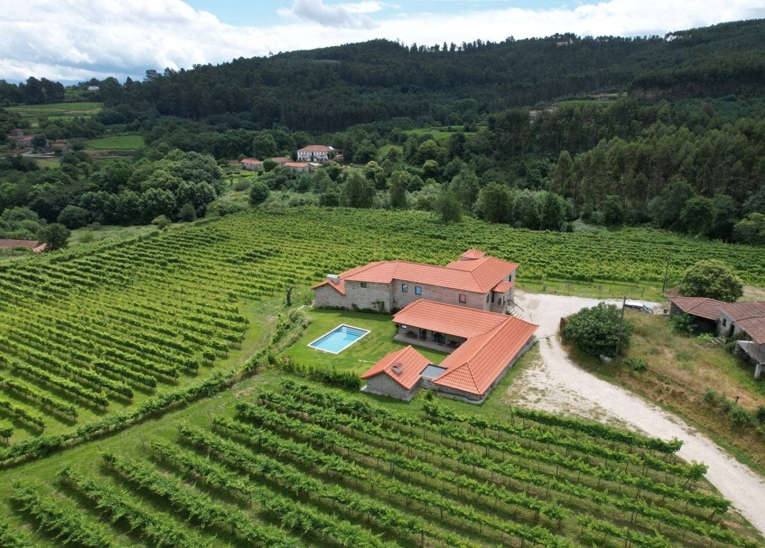 100Igual Wines  - Winalist