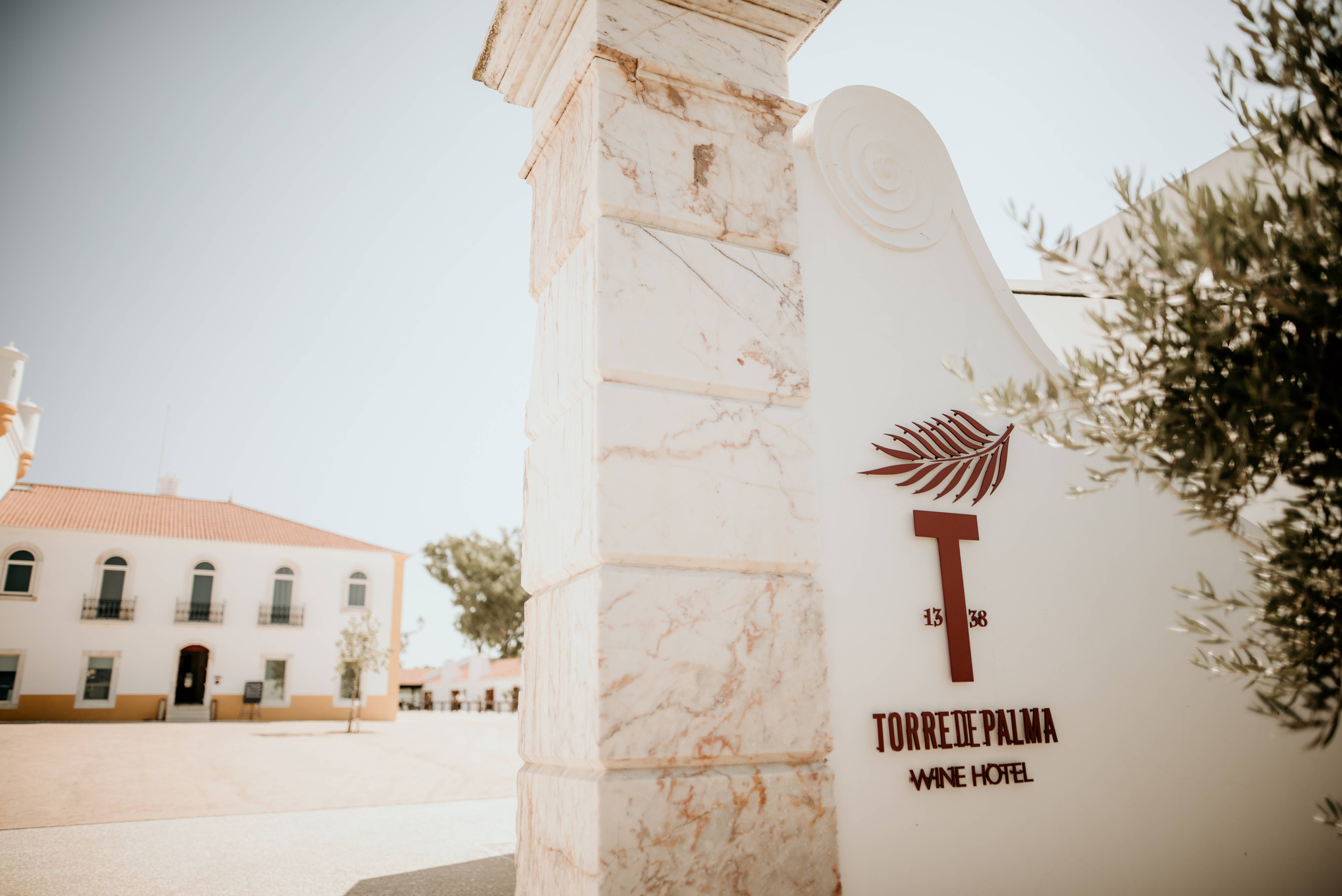 Carta dei vini | Abbinamento Palma