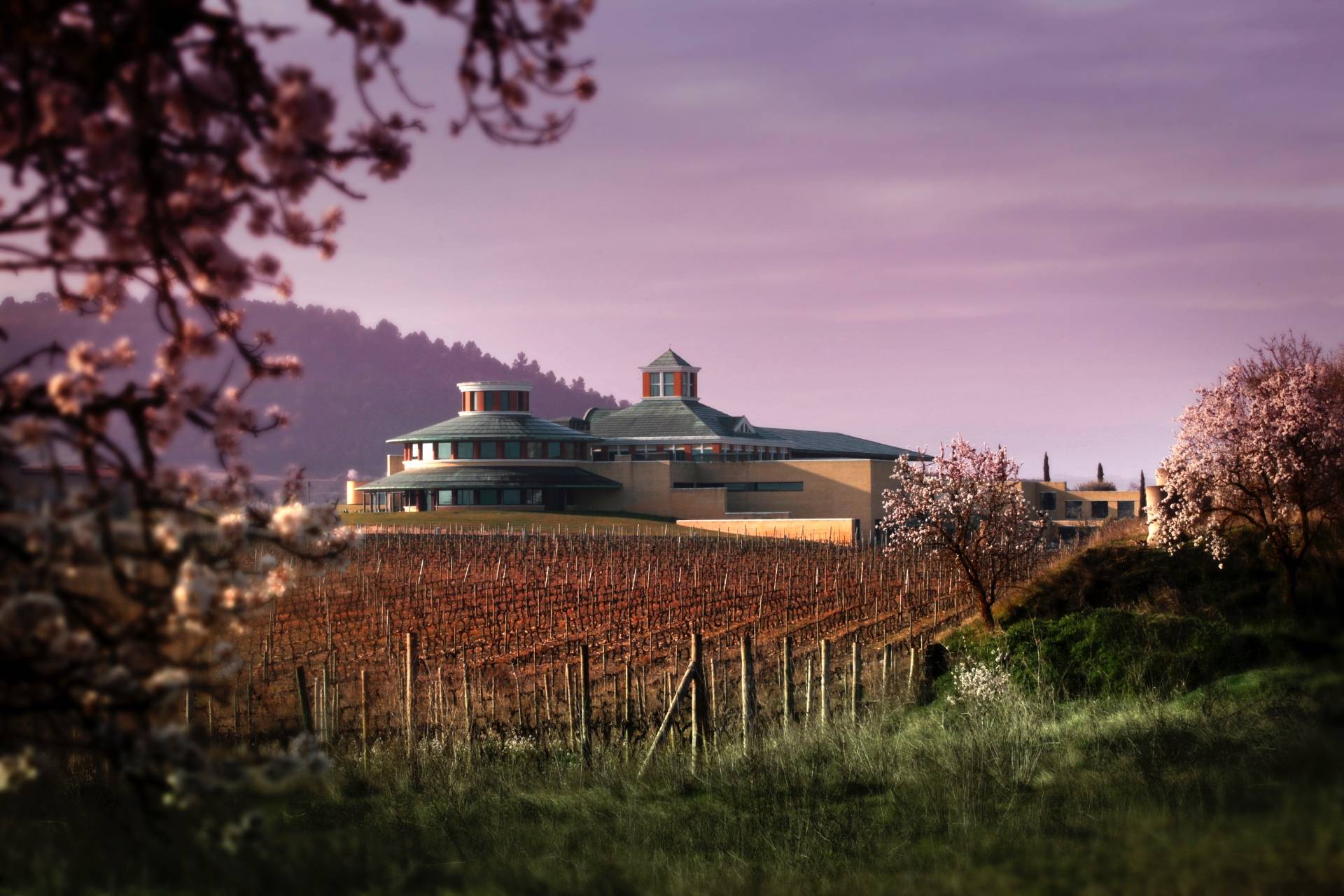 Vivanco Cultura de Vino - Winalist