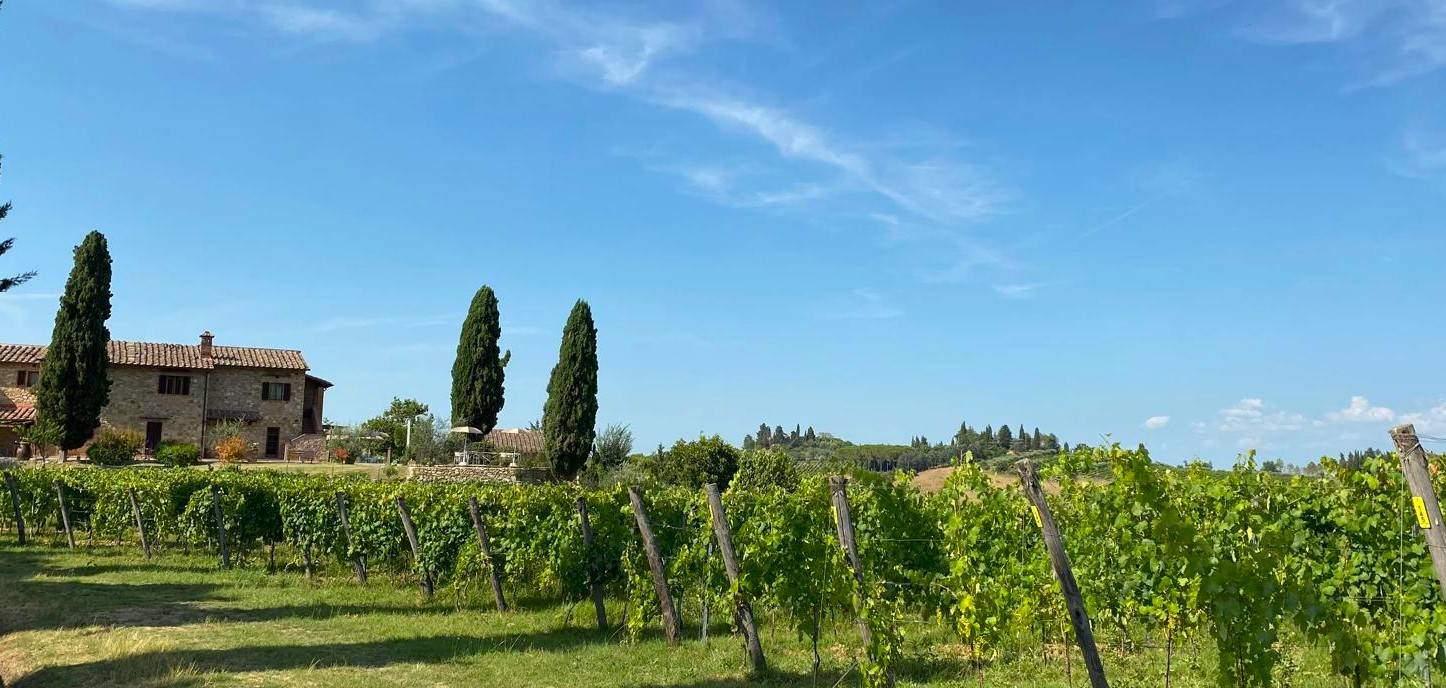 Zoals u het wilt - Tenuta Sovestro   San Gimignano - Winalist