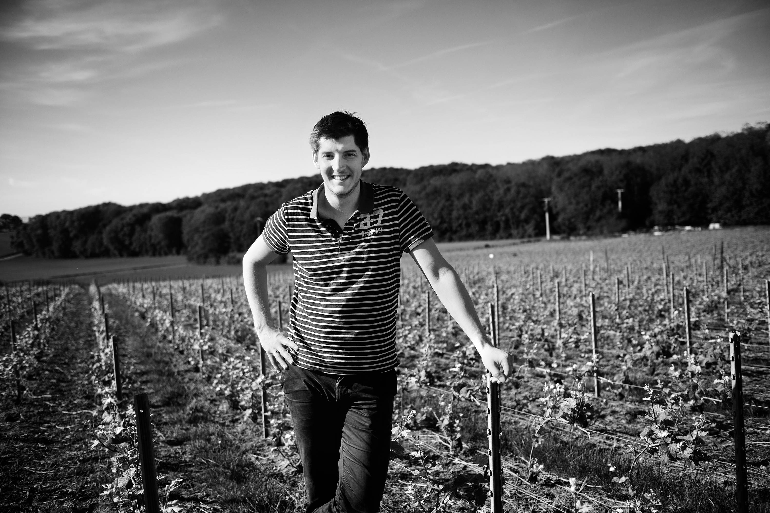 Het wijnbouwersmoment: bezoek en proeverij