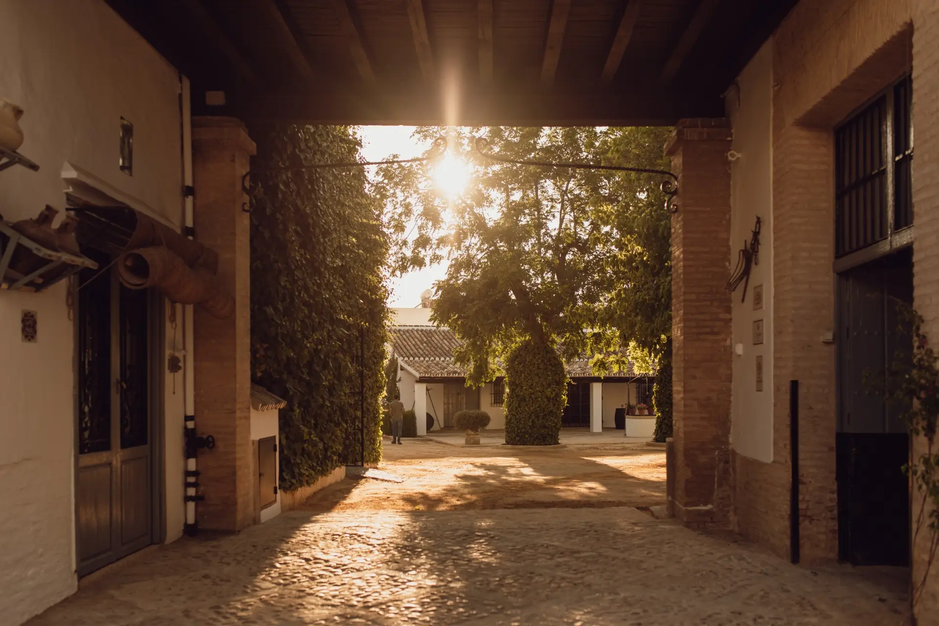 Bodegas Salado - Winalist