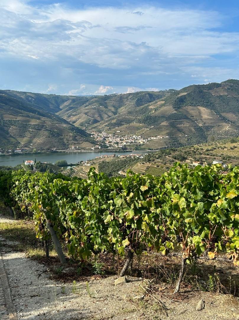 Ml-private Tours Wine Experiences - Winalist