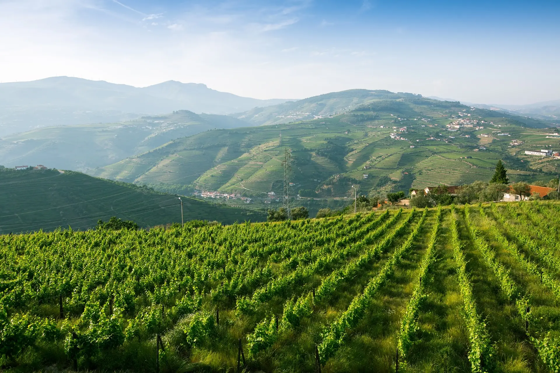 Vinho Verde Wineries to Visit ⭐️ 2025 Best Tours & Tastings