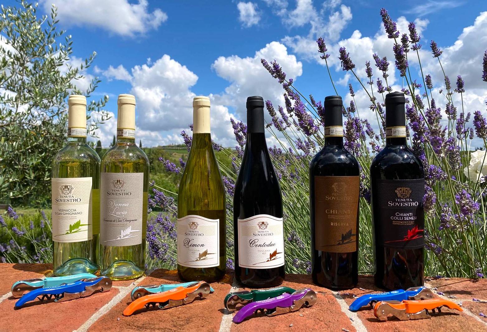 Zoals u het wilt - Tenuta Sovestro   San Gimignano - Winalist