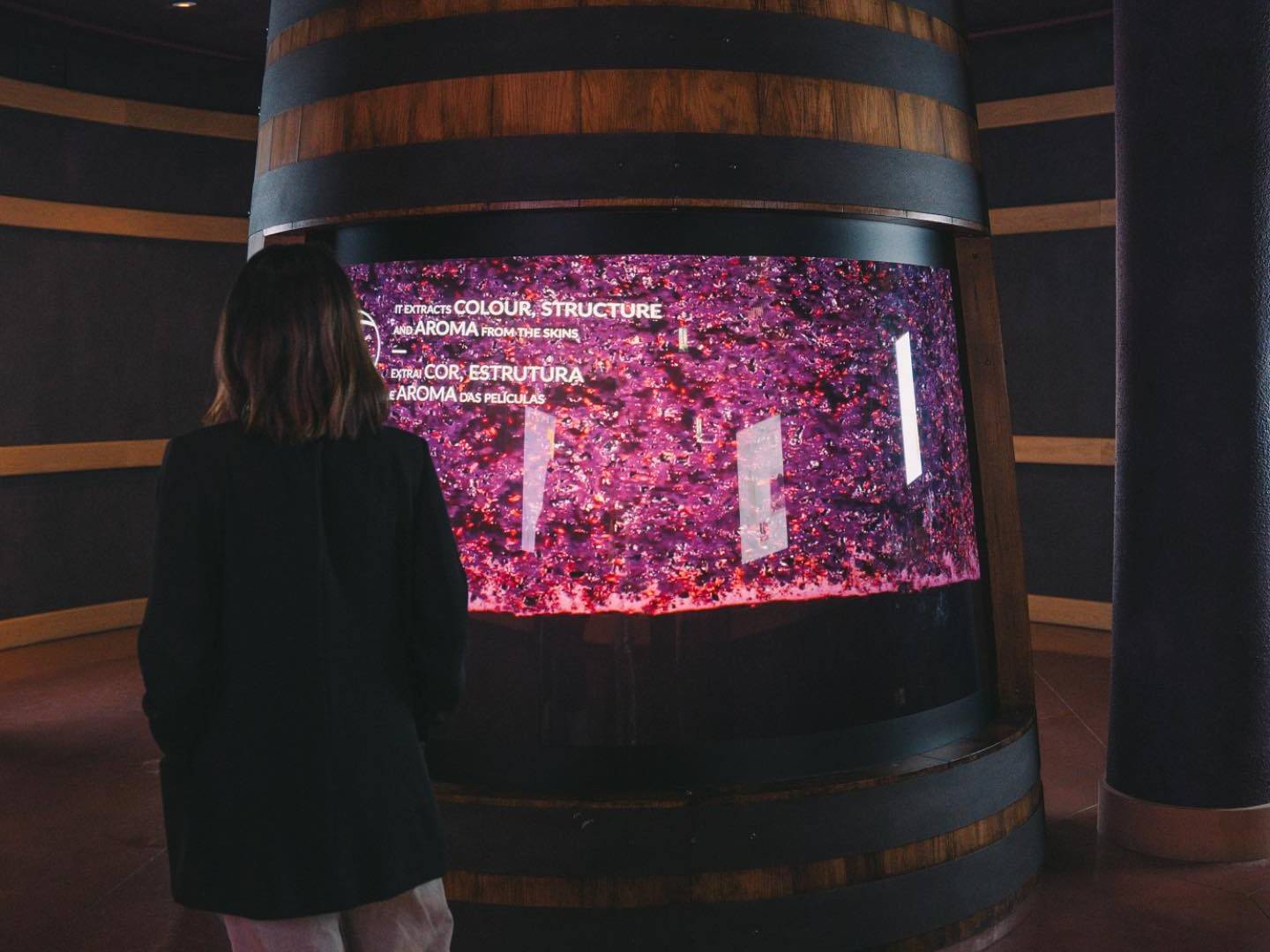 Porto: Museu The Wine Experience - WOW  - WOW - The Best Cultural District - Winalist