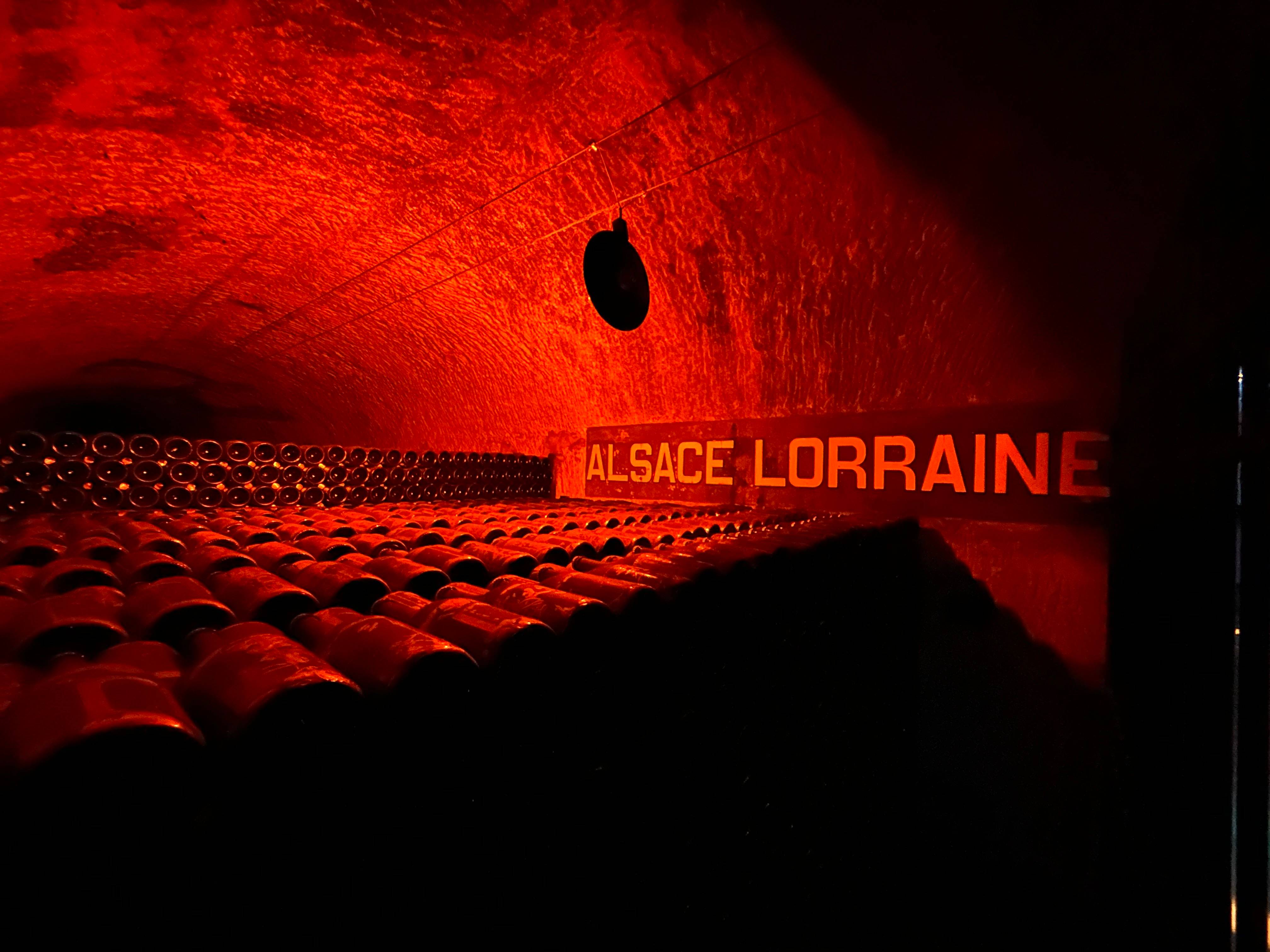 Visite guidée des caves Pommery