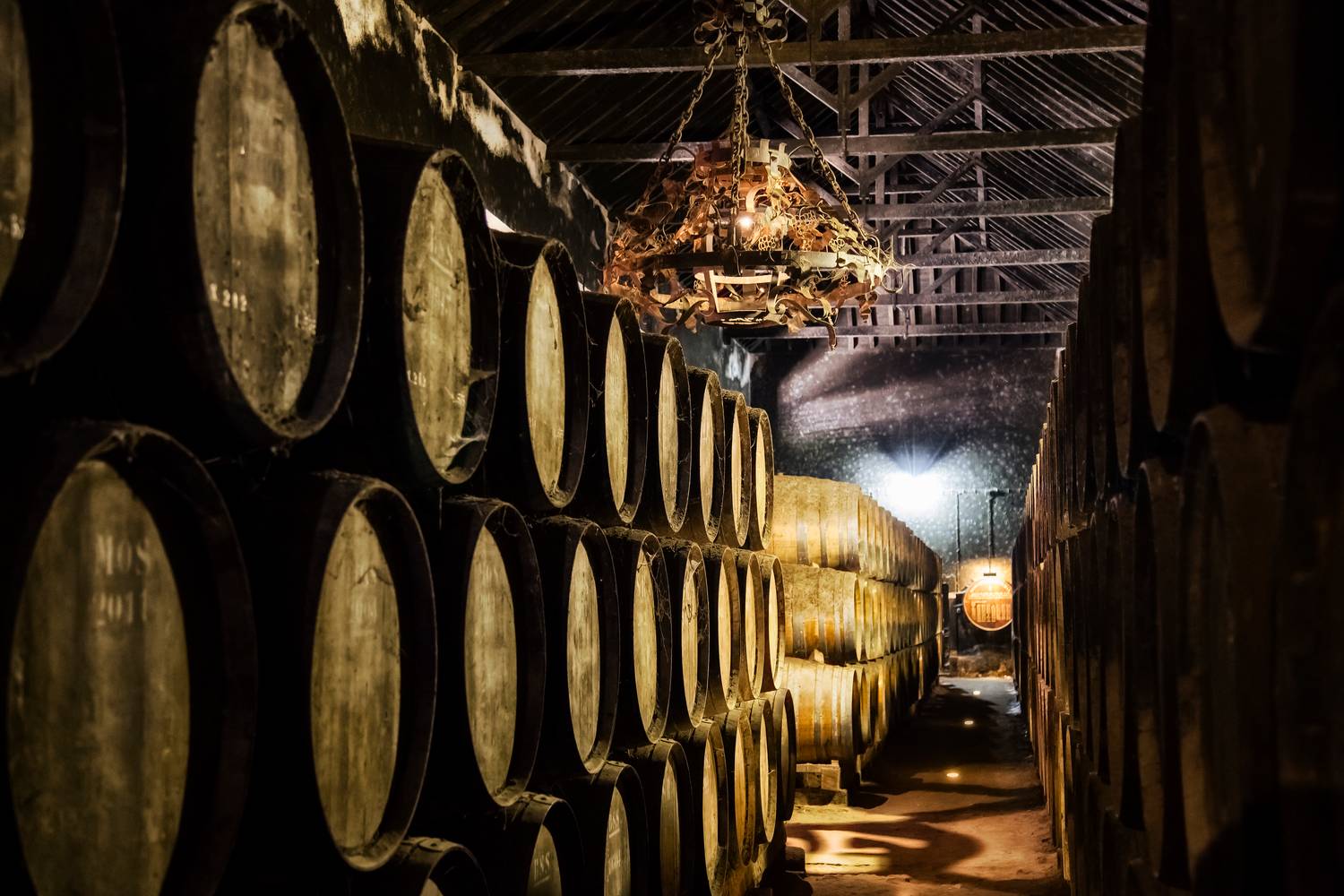Ou selection of the TOP 10 Wine Bars in Lisbon - 2026 - 22 - wine bars lisbon wine bars lisbon - Ou selection of the TOP 10 Wine Bars in Lisbon - 2026 - 21