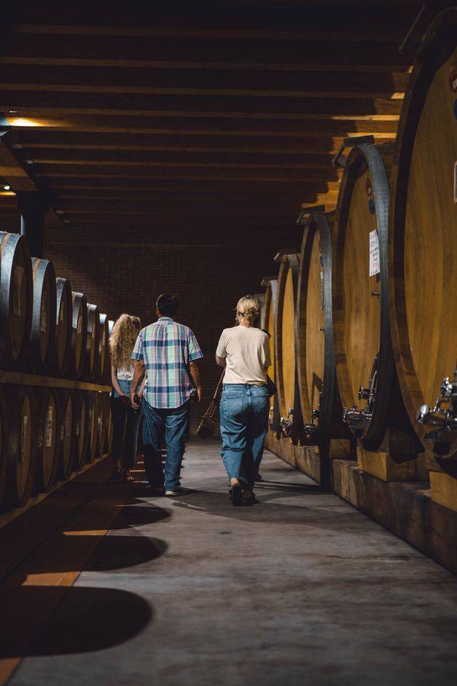 De Dogliani a Barolo - Poderi Luigi Einaudi - Winalist