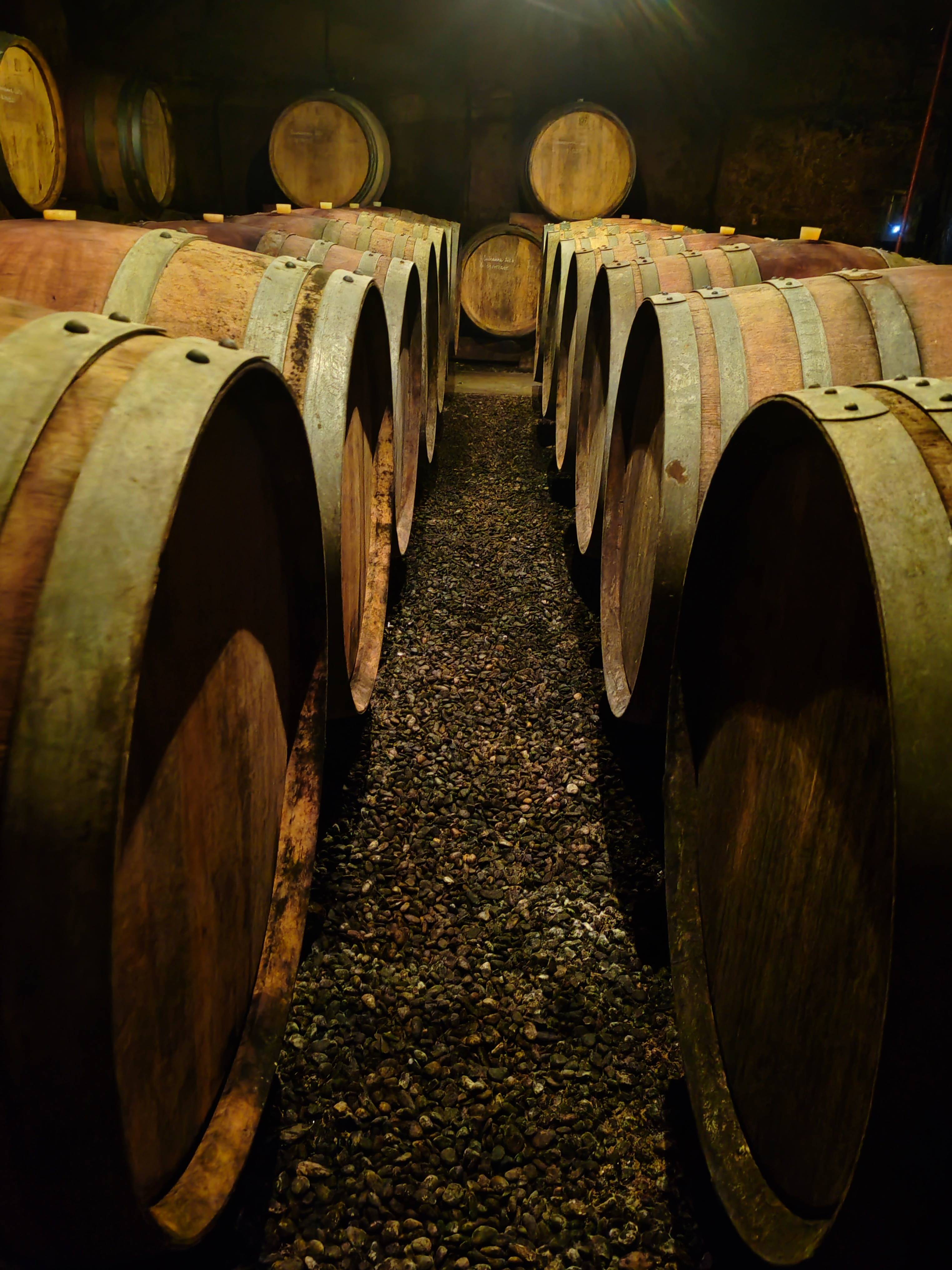 Visita Descoberta - Domaine Marcel Richaud - Winalist