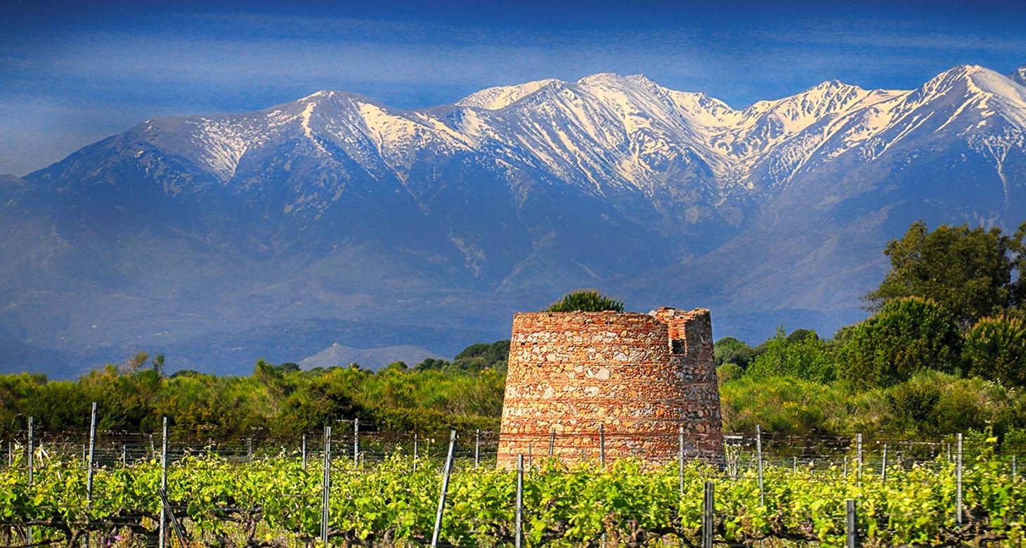 Visiter Perpignan: Découvrir la culture catalane - 2026 - 24 - visiter perpignan visiter perpignan - Visiter Perpignan: Découvrir la culture catalane - 2026 - 23